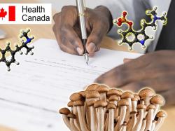  health-canada-grants-exemption-phase-2-trial-on-psilocybin-for-genetic-disorder 