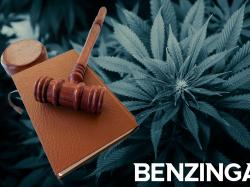  historic-ruling-to-legalize-cannabis-cultivation-in-brazil-these-weed-companies-will-likely-benefit 