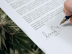  sndl-granted-mcto-amends-strategic-partnership-agreement-with-nova-cannabis 