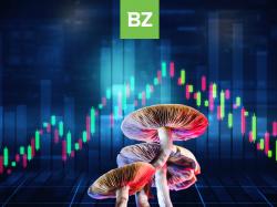  how-to-finance-a-psychedelics-business-learn-from-these-four-companies 