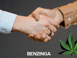  cannabis-movers--shakers-latest-appointments-from-khiron-marimed-equilibria--more 