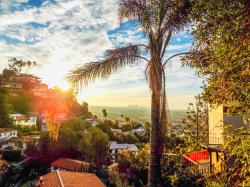  why-west-hollywood-calls-itself-the-epicenter-of-socal-cannabis-culture 