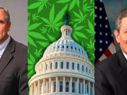  senators-merkley-daines-and-other-bipartisan-lawmakers-introduce-cannabis-banking-act-in-congress 