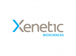  lack-of-catalysts-prompts-analyst-to-downgrade-xenetic-biosciences 