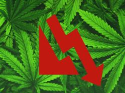  this-marijuana-stock-takes-a-dive-following-breach-of-financial-covenants-under-its-loan-agreement 