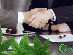  whos-who-in-cannabis-latest-executive-changes-you-should-know-about 