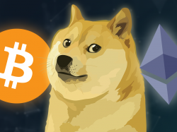  if-you-invested-your-3-stimulus-checks-in-bitcoin-dogecoin-and-ethereum-heres-how-much-youd-have-now 