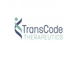  transcode-therapeutics-and-2-other-stocks-under-5-insiders-are-aggressively-buying 