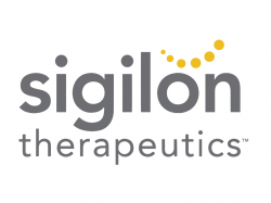 sigilon-therapeutics-shares-are-shooting-higher-today---whats-going-on 