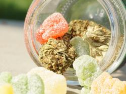  michigan-thc-edibles-maker-voluntarily-pulls-products-from-shelves-after-competitor-pays-steep-fine 
