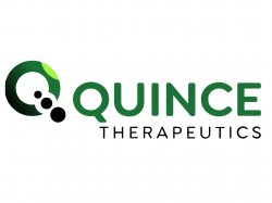  whats-going-on-with-quince-therapeutics-stock-today 