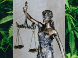  criminal-histories-slip-through-the-cracks-in-this-states-cannabis-market-alabama-official-faces-controversy-over-board-seat--latest-regs 