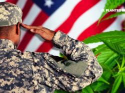  va-and-dod-face-criticism-from-rep-blumenauer-over-misguided-denial-of-ptsd-treatment-with-medical-cannabis 