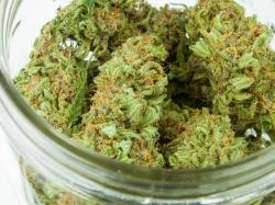  ontario-reduces-wholesale-markups-on-marijuana-as-large-operators-continue-to-struggle 