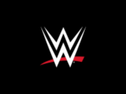  world-wrestling-entertainment-registers-mixed-q2-performance-foresees-revenue-decline-in-q3 