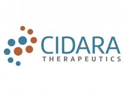  cidara-therapeutics-and-3-other-stocks-under-3-insiders-are-buying 