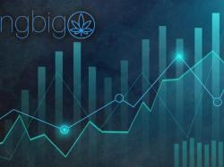  springbig-reports-q2-2023-financial-results-72m-revenue-up-12-yoy-ceo-pleased-with-measured-growth 