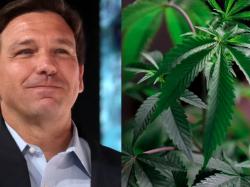 ron-desantis-used-to-be-coolest-republican-when-it-came-to-weed-says-prominent-advocate-in-marijuana-moment-op-ed
