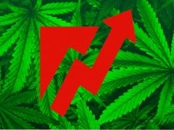  this-us-cannabis-stock-is-no-longer-at-the-mercy-of-us-regulations-heres-why 
