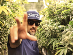 cypress-hills-b-real-gets-mad-cannabis-goldmine-choked-by-state-taxation