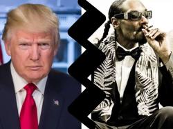  snoop-dogg-slams-trump-tells-followers-not-to-vote-for-him-in-expletive-laden-tiktok-video-gone-viral 