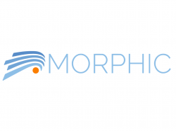  morphic-therapeutics-stock-plunges-on-monday---heres-why 