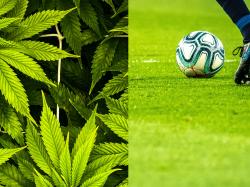 FIFA 공인 코스타리카 축구팀, 부상 예방·치료에 CBD 도입