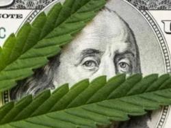  this-cpg-company-achieves-substantial-fiscal-2023-revenue--ebitda-growth 