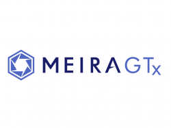  why-is-gene-therapy-company-meiragtx-stock-trading-higher-today 