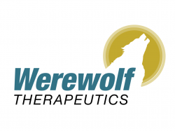  werewolf-therapeutics-cancer-drug-shows-promise-in-early-study-for-solid-tumors-stock-soars 