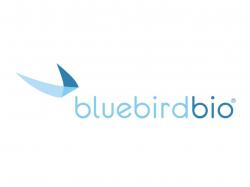  bluebird-bio-to-rally-around-267-here-are-10-top-analyst-forecasts-for-wednesday 