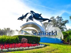  seaworld-entertainments-q3-revenue-faces-heat-from-adverse-weather 