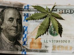  another-cannabis-company-benefits-from-marylands-green-rush-ianthus-cuts-q3-net-loss-while-growing-revenue 