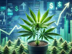  big-tobacco-investments-drive-cannabis-stock-surge-as-us-equities-outshine-canadian-peers 