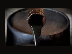  crude-oil-gains-over-2-paxmedica-shares-plunge 