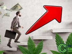  latest-cannabis-hires-three-new-ceos-and-more 