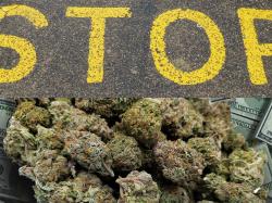  surprise-inspection-forces-cannabis-company-to-cancel-3m-sale-deal 