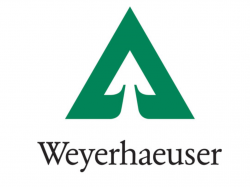  weyerhaeuser-ventures-into-carbon-market-with-landmark-sale-of-forest-credits 