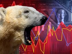  bears-roam-wall-street-as-middle-east-conflict-earnings-outlook-raise-concerns-despite-strong-q3-us-economic-growth-this-week-in-markets 