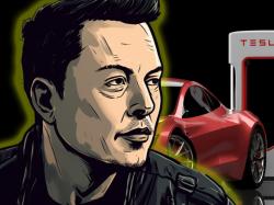  musks-strategy-working-teslas-market-share-soars-in-q2-amid-bold-price-cuts-and-margin-fears 