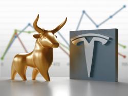  tesla-bull-gary-black-rues-attacks-from-fellow-bulls-says-opposing-management-strategy-is-not-attacking-elon 