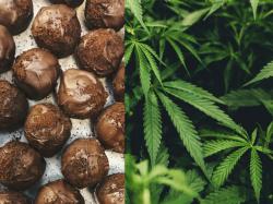  tilrays-chowie-wowie-launches-new-weed-chocolates-just-on-time-for-the-holidays-heres-where-to-find-them 