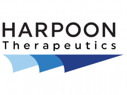  why-is-cancer-focused-harpoon-therapeutics-stock-shooting-higher-today 