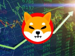  dogecoin-rival-shiba-inu-tanks-over-10-in-past-week-heres-what-shib-team-encourages-investors-to-do 