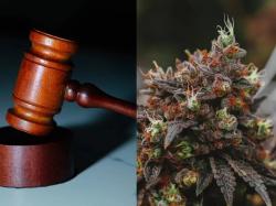  12-state-attorneys-general-to-dea-reschedule-marijuana-to-defend-public-safety-cannabis-stocks-jump 