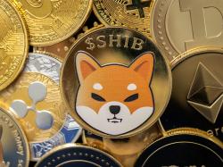  meme-coin-mania-shiba-inu-rises-to-fourth-spot-in-global-crypto-trading-volume 