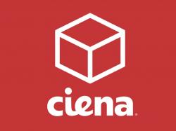  ciena-autonation-and-2-other-stocks-insiders-are-selling 