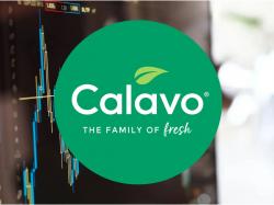  how-to-earn-500-a-month-from-calavo-growers-ahead-of-q1-earnings 