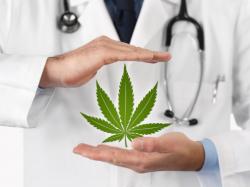  fed-funded-study-finds-increase-in-medical-marijuana-patient-enrollments-chronic-pain-most-common-reason 