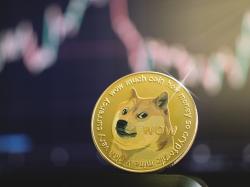 amid-dogecoin-crash-374-million-doge-moved-from-robinhood-to-unknown-wallet 